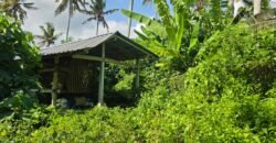 Dijual tanah 695m² view laut dan sawah dekat pantai
