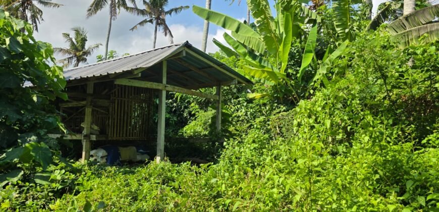 Dijual tanah 695m² view laut dan sawah dekat pantai