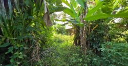 Dijual tanah 695m² view laut dan sawah dekat pantai