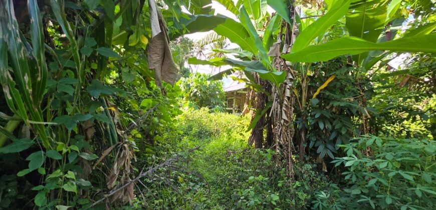 Dijual tanah 695m² view laut dan sawah dekat pantai