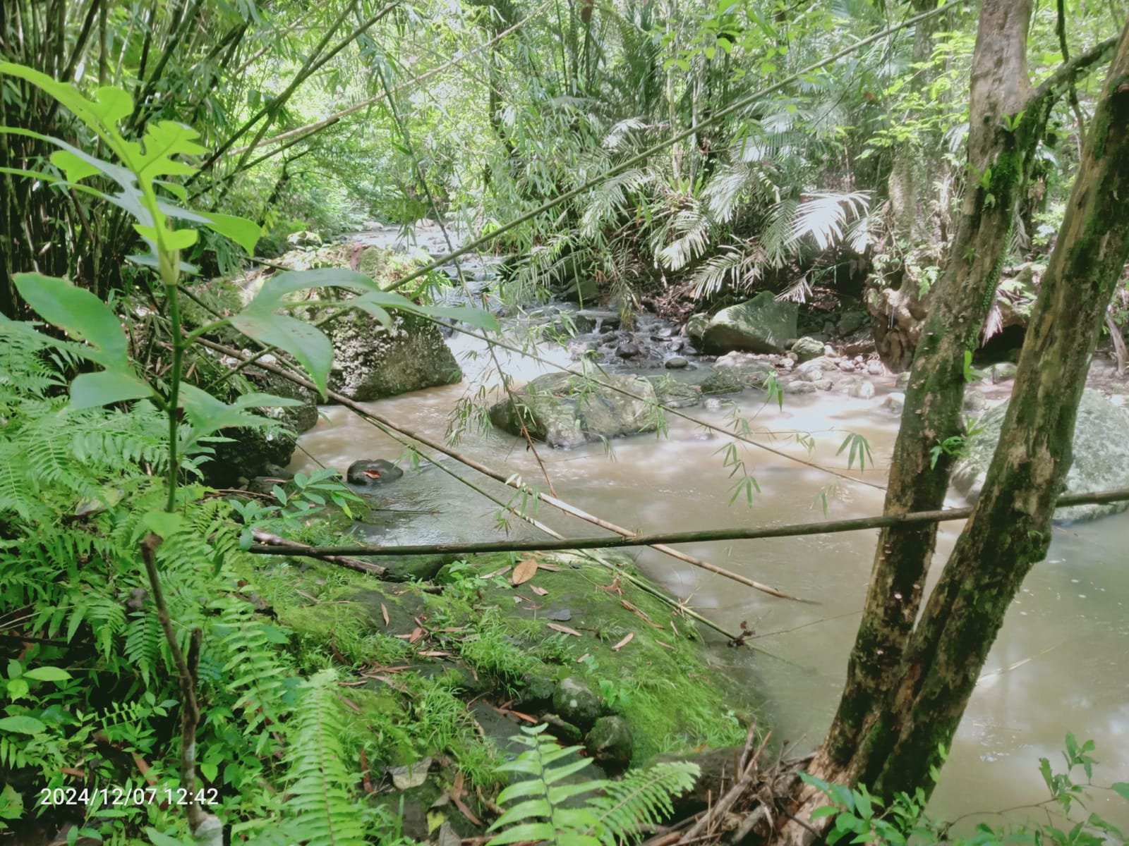 Dijual kebun murah los sungai di tabanan