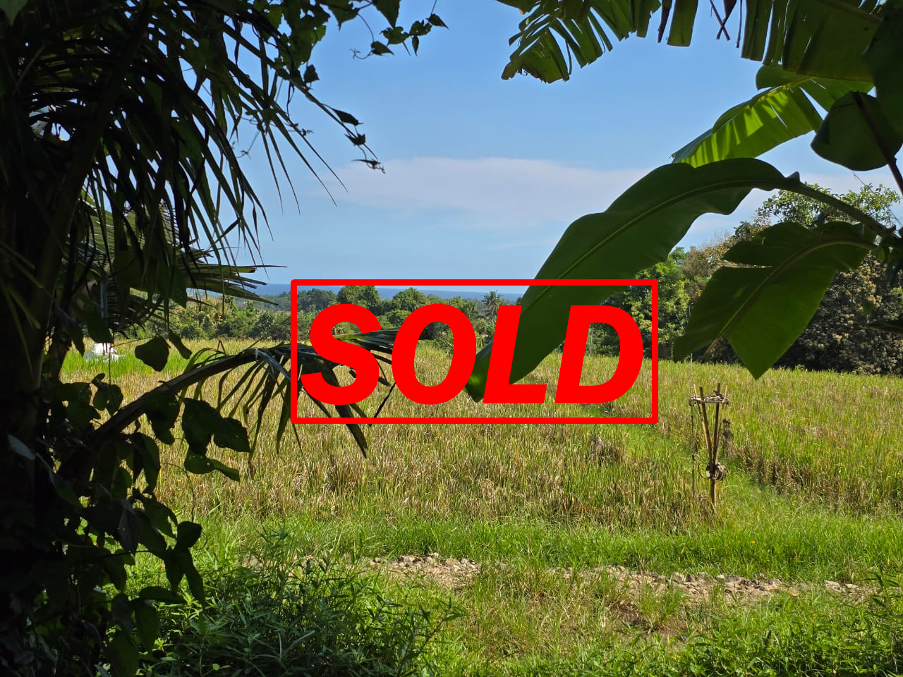 Dijual tanah 695m² view laut dan sawah dekat pantai