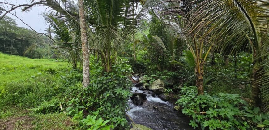 Dijual tanah kebun kopi dan sawah los sungai dengan view yang indah