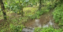 Dijual tanah kebun kopi dan sawah los sungai dengan view yang indah