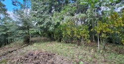 Dijual tanah kebun ketinggian 400mdpl di kelilingi saluran air