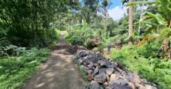 Dijual tanah kebun ketinggian 400mdpl di kelilingi saluran air