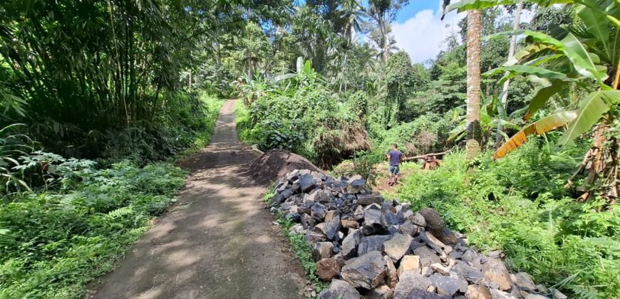 Dijual tanah kebun ketinggian 400mdpl di kelilingi saluran air