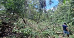 Dijual tanah kebun ketinggian 400mdpl di kelilingi saluran air