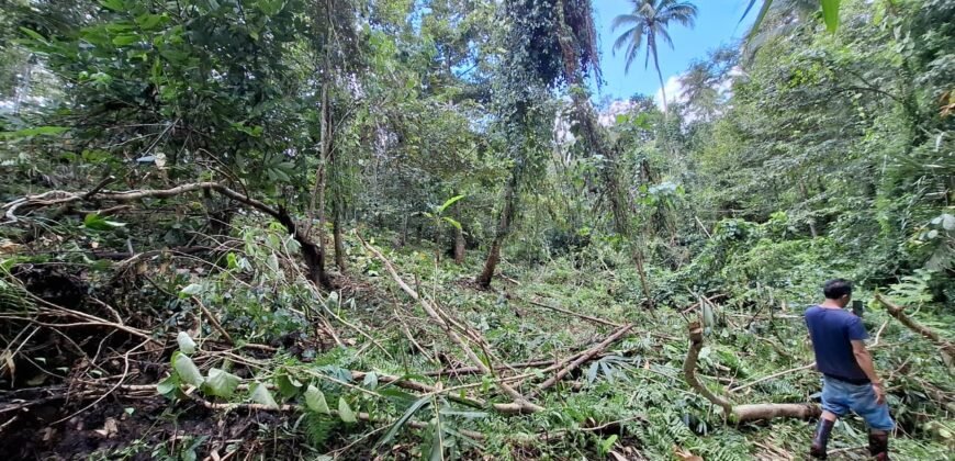 Dijual tanah kebun ketinggian 400mdpl di kelilingi saluran air