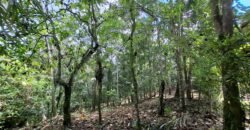 Dijual tanah kebun ketinggian 400mdpl di kelilingi saluran air