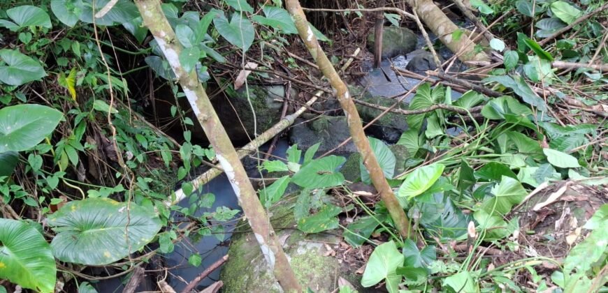 Dijual tanah kebun ketinggian 400mdpl di kelilingi saluran air