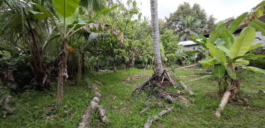 Tanah kebun luasan kecil zona kuning cocok untuk perumahan
