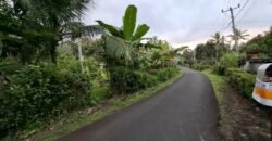 Tanah kebun luasan kecil zona kuning cocok untuk perumahan