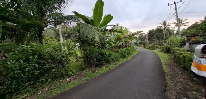 Tanah kebun luasan kecil zona kuning cocok untuk perumahan