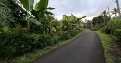 Tanah kebun luasan kecil zona kuning cocok untuk perumahan
