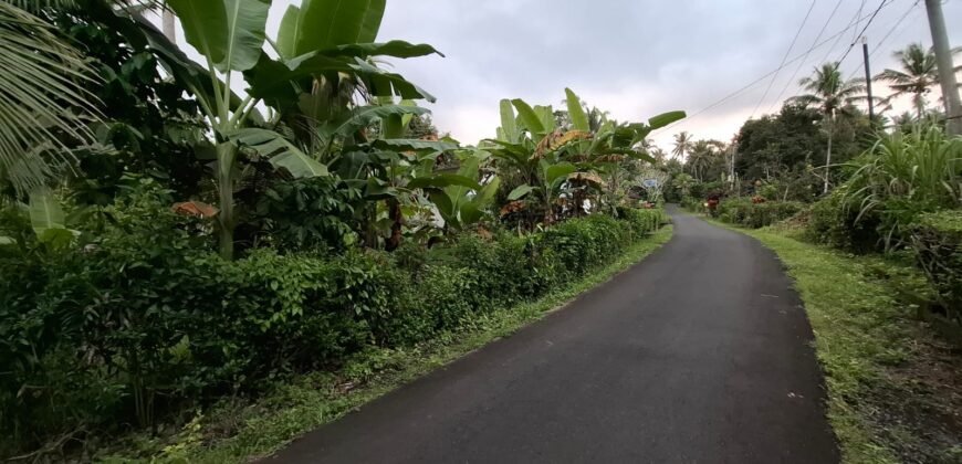 Tanah kebun luasan kecil zona kuning cocok untuk perumahan
