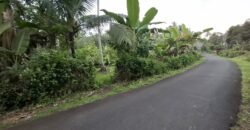 Tanah kebun luasan kecil zona kuning cocok untuk perumahan
