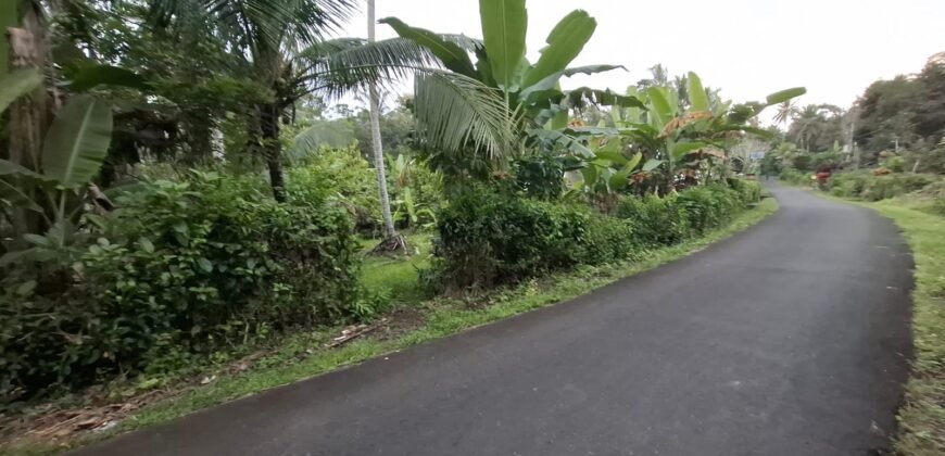 Tanah kebun luasan kecil zona kuning cocok untuk perumahan
