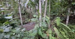 Tanah kebun luasan kecil zona kuning cocok untuk perumahan