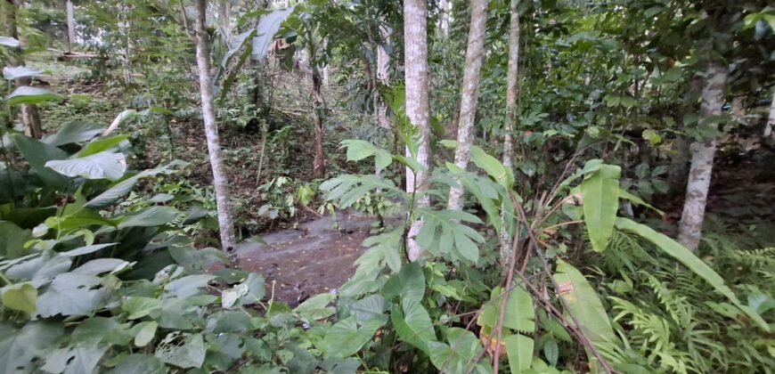 Tanah kebun luasan kecil zona kuning cocok untuk perumahan