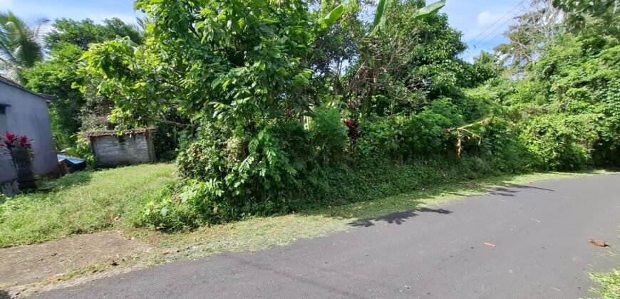 Tanah los sungai jernih di tabanan bali cocok untuk villa