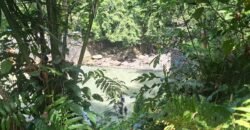 Tanah los sungai jernih di tabanan bali cocok untuk villa