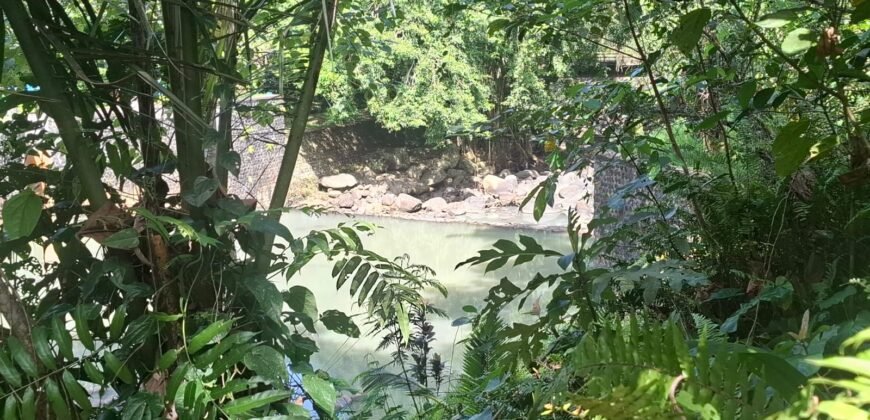 Tanah los sungai jernih di tabanan bali cocok untuk villa