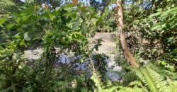 Tanah los sungai jernih di tabanan bali cocok untuk villa