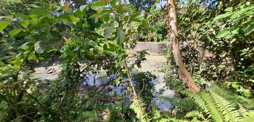 Tanah los sungai jernih di tabanan bali cocok untuk villa