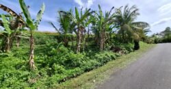 Tanah los sungai jernih di tabanan bali cocok untuk villa
