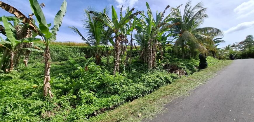 Tanah los sungai jernih di tabanan bali cocok untuk villa