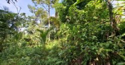 Tanah los sungai jernih di tabanan bali cocok untuk villa