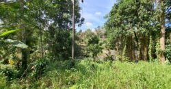 Tanah los sungai jernih di tabanan bali cocok untuk villa