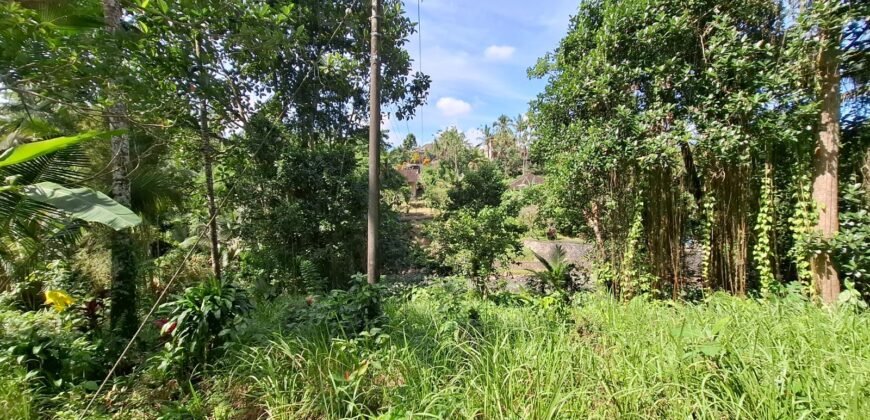Tanah los sungai jernih di tabanan bali cocok untuk villa