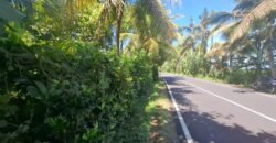 Dijual tanah kebun dekat dengan rencana exit toll antosari di tabanan