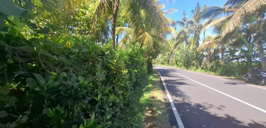 Dijual tanah kebun dekat dengan rencana exit toll antosari di tabanan