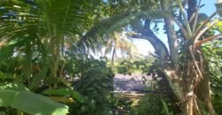 Dijual tanah kebun dekat dengan rencana exit toll antosari di tabanan
