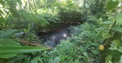 Dijual tanah kebun dekat dengan rencana exit toll antosari di tabanan