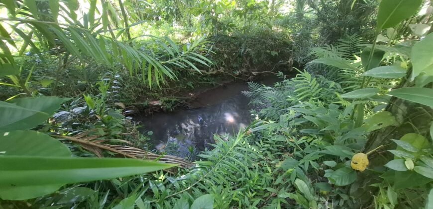 Dijual tanah kebun dekat dengan rencana exit toll antosari di tabanan