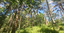 Dijual tanah kebun dekat dengan rencana exit toll antosari di tabanan
