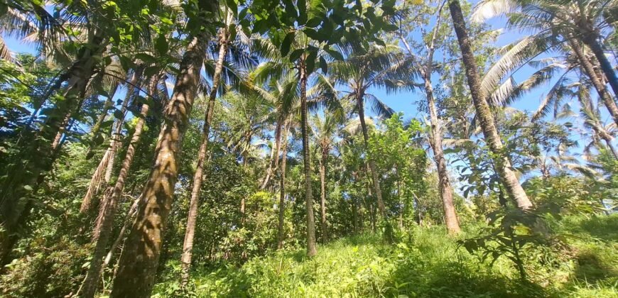 Dijual tanah kebun dekat dengan rencana exit toll antosari di tabanan