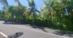 Dijual tanah kebun dekat dengan rencana exit toll antosari di tabanan