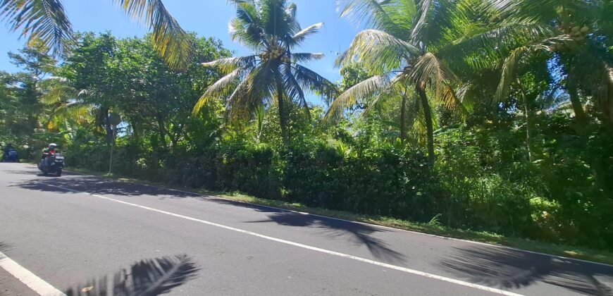 Dijual tanah kebun dekat dengan rencana exit toll antosari di tabanan