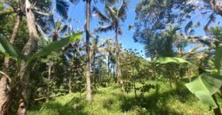 Dijual tanah kebun dekat dengan rencana exit toll antosari di tabanan