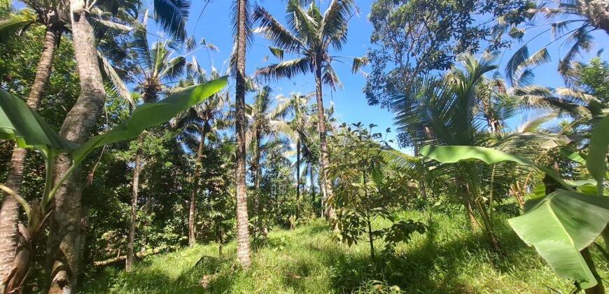 Dijual tanah kebun dekat dengan rencana exit toll antosari di tabanan