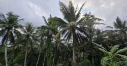 Dijual tanah kebun view sawah dan los sungai berdekatan dengan villa komersil di selemadeg