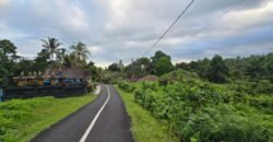 Dijual tanah kebun view sawah dan los sungai berdekatan dengan villa komersil di selemadeg