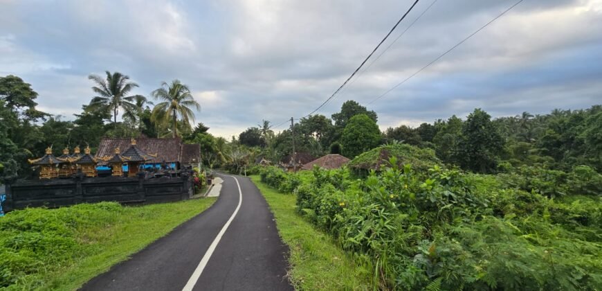 Dijual tanah kebun view sawah dan los sungai berdekatan dengan villa komersil di selemadeg