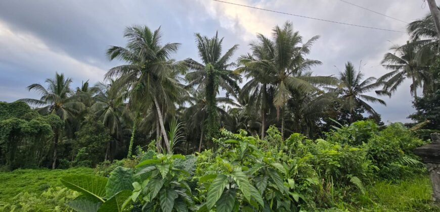 Dijual tanah kebun view sawah dan los sungai berdekatan dengan villa komersil di selemadeg