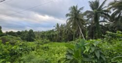 Dijual tanah kebun view sawah dan los sungai berdekatan dengan villa komersil di selemadeg